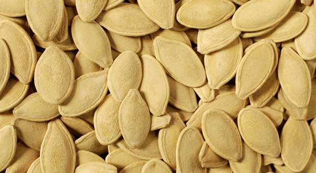 Pumpkin seeds