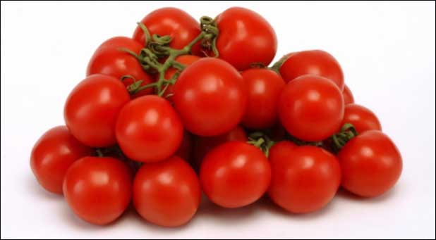 tomatoes