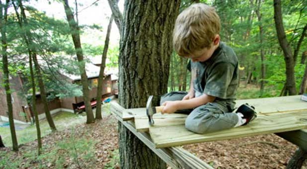 Kid and treehouse