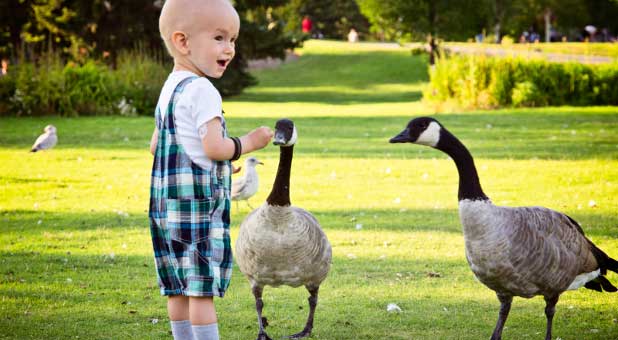 Parents should teach their children to treat animals with respect.