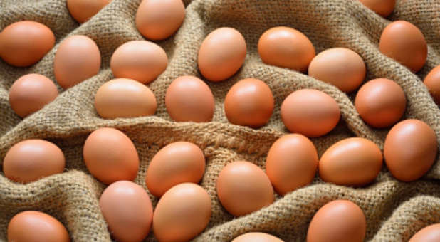 Eggs