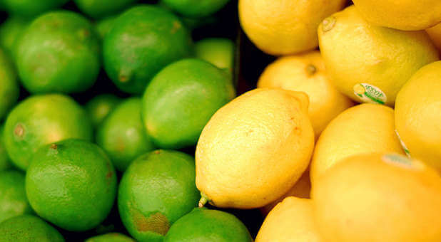 Lemons and limes are excellent