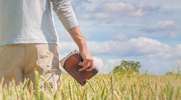 Do you want to be the wheat?