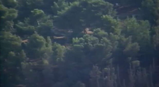 Once a desert, this area in Israel has flourished with forests in recent years.