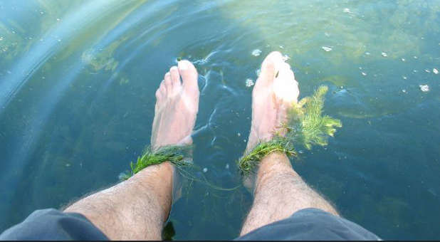 Take a break from all of your concerns just by dangling your feet in the water.