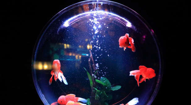 One of them looks like this (a fishbowl).